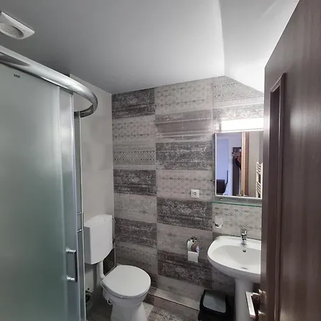 Hotel Dini Vama Veche